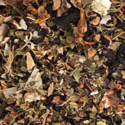 Bien-Être Vitalité