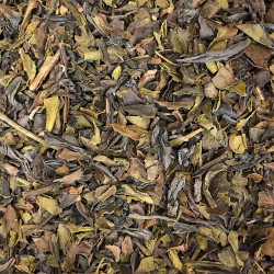 Gorreana des Açores