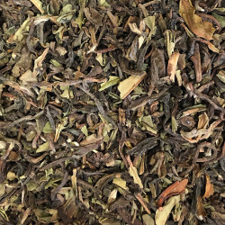 Darjeeling Singbulli