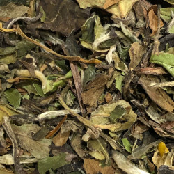 Pai Mu Tan "Pivoine Blanche"